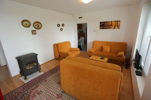Living room with sofas and a stove