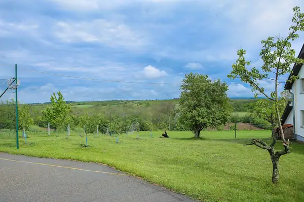 Green meadow and nature around the villa